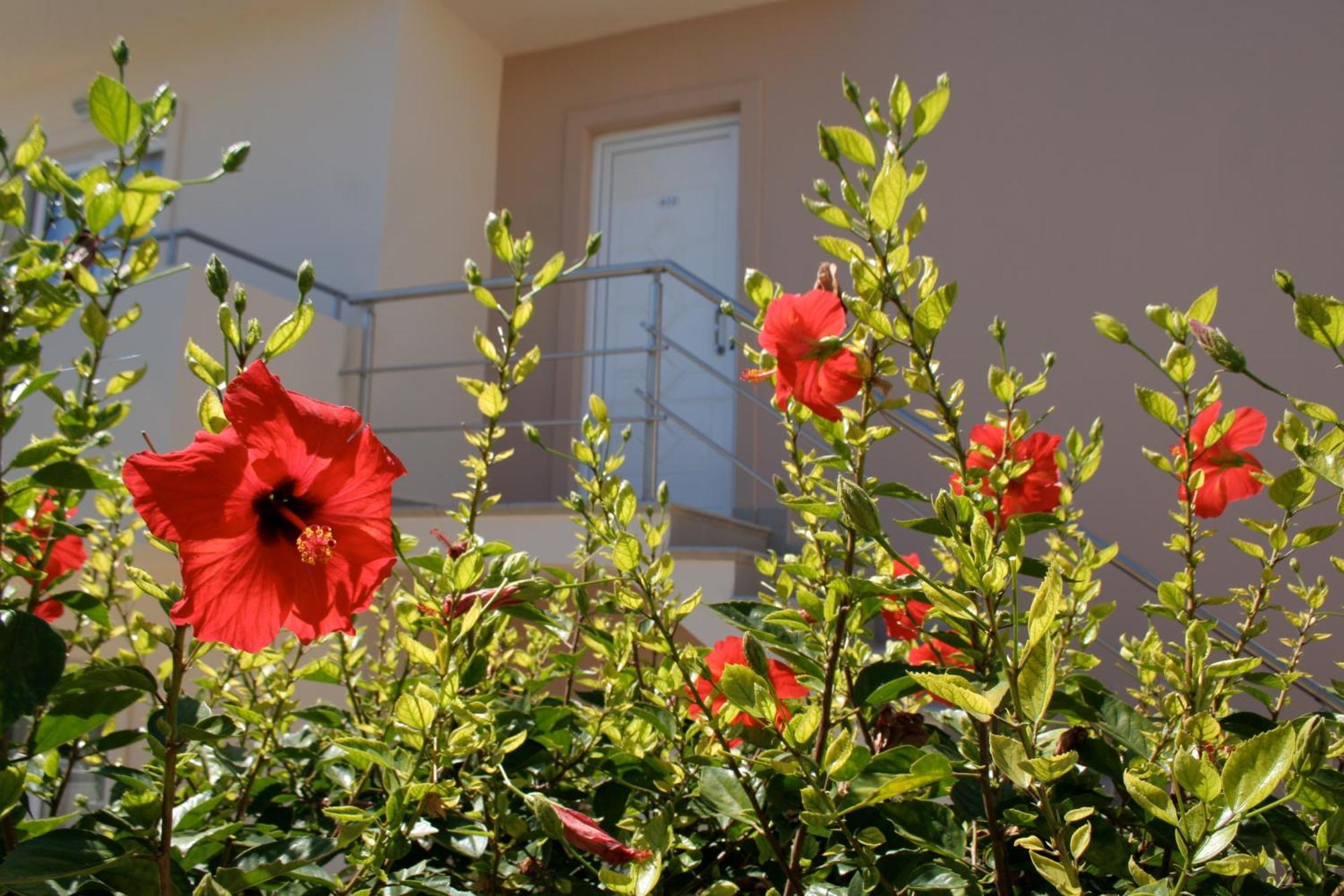 Amaryllis Front Beach Hotel Лардос Екстер'єр фото