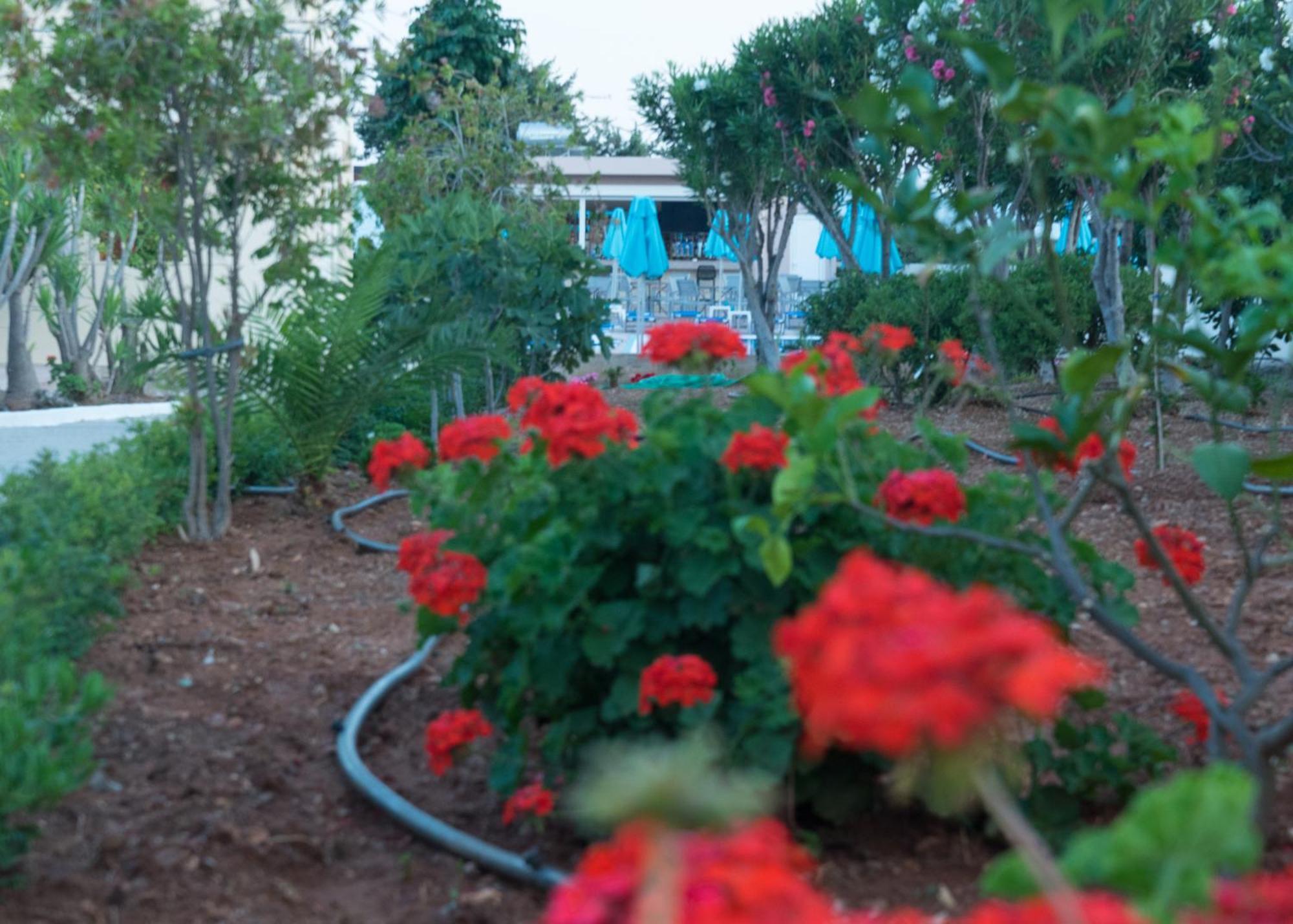 Amaryllis Front Beach Hotel Лардос Екстер'єр фото
